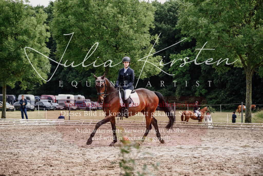 DSC_9615 | Pferde- und Turnierfotografie in Westsachsen. Pferdeportraits, Auftragszeichnungen und intuitive Kunst.