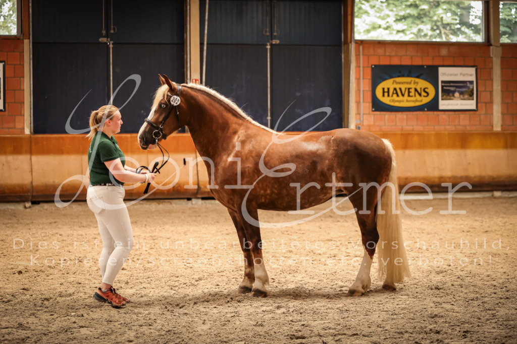 SaFL00445 | Leoni Ertmer Photography - Realisiert mit Pictrs.com