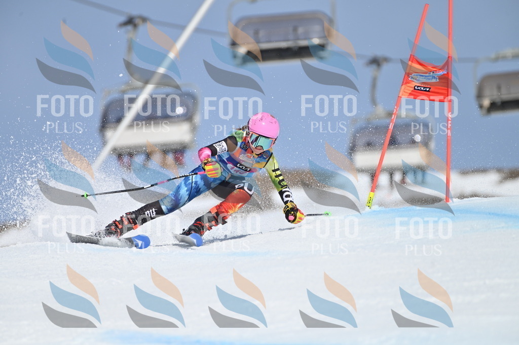 BGV_0019 | holidayphoto