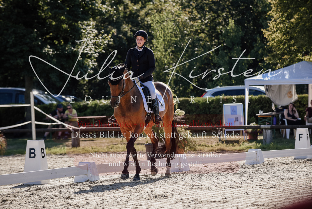 DSC_0305 | Pferde- und Turnierfotografie in Westsachsen. Pferdeportraits, Auftragszeichnungen und intuitive Kunst.