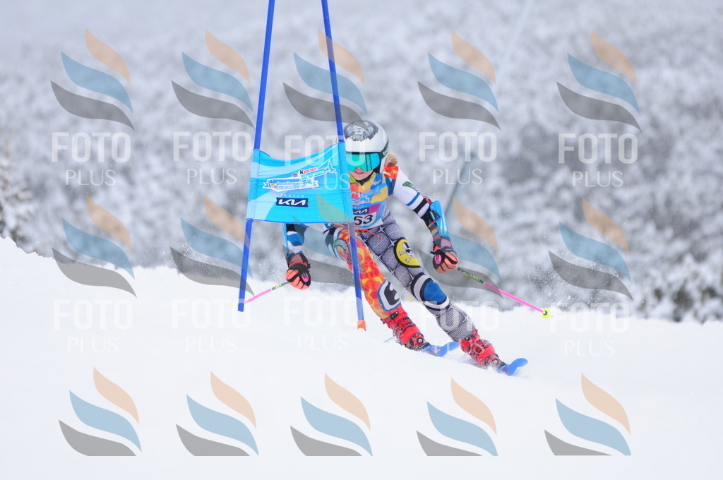 C3765 | holidayphoto