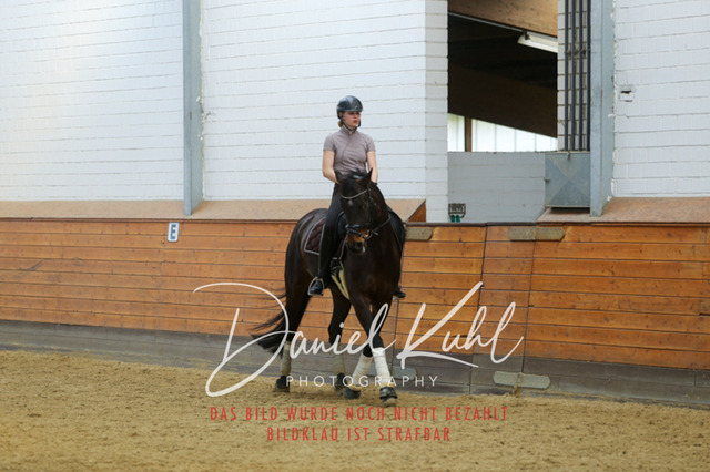 IMG_3509 | Turniersportfotografie; Pferdefotografie; Dressurfotografie