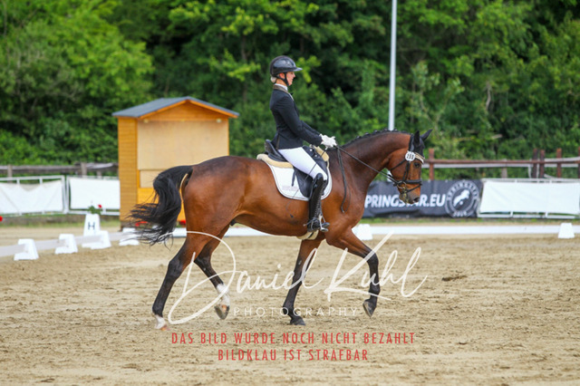 DKP45627 | Turniersportfotografie; Pferdefotografie; Dressurfotografie