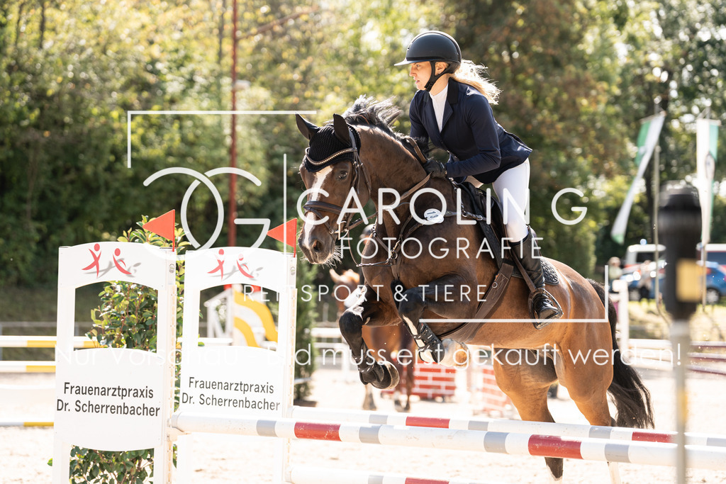 DSC02278 | Carolin Gieschke