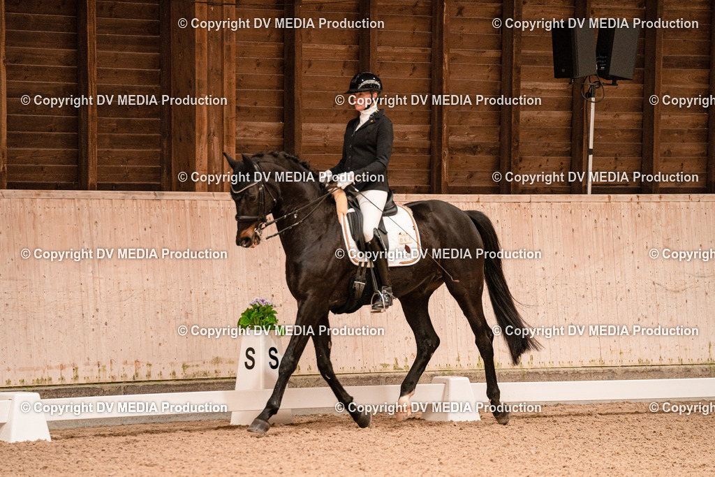 Dressur Tag 1 -222 | dv-media-shop - Realisiert mit Pictrs.com