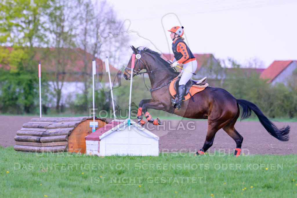 18042026-Gernlinden-04-1-0566 | Fokus Hufschlag Fotografie - Realisiert mit Pictrs.com