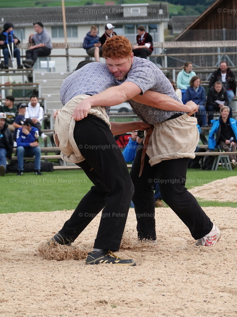 DSC05494 | Schwingen - Realisiert mit Pictrs.com