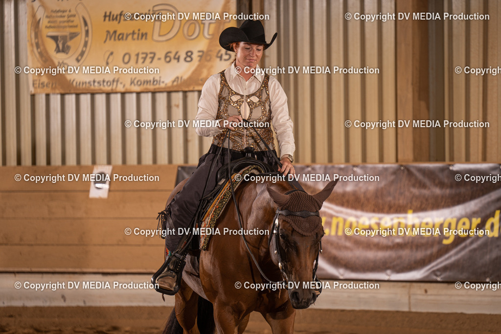 NID00203 | dv-media-shop - Realisiert mit Pictrs.com