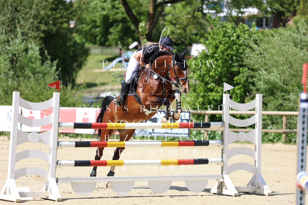 IMGS9735 | pl-fotografie