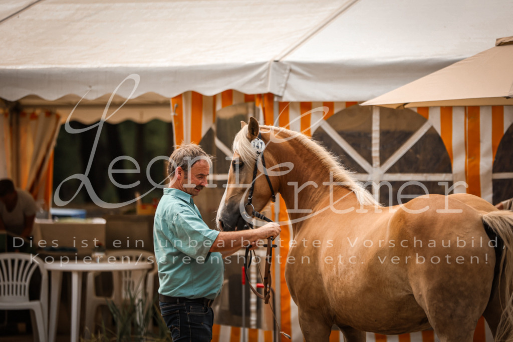 06.So00086 | Leoni Ertmer Photography - Realisiert mit Pictrs.com