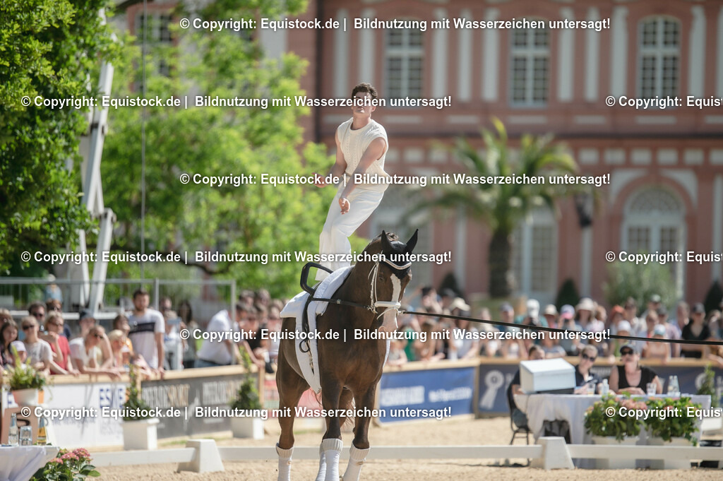 20230528_Voltigieren_NASPA_0096 | equistock