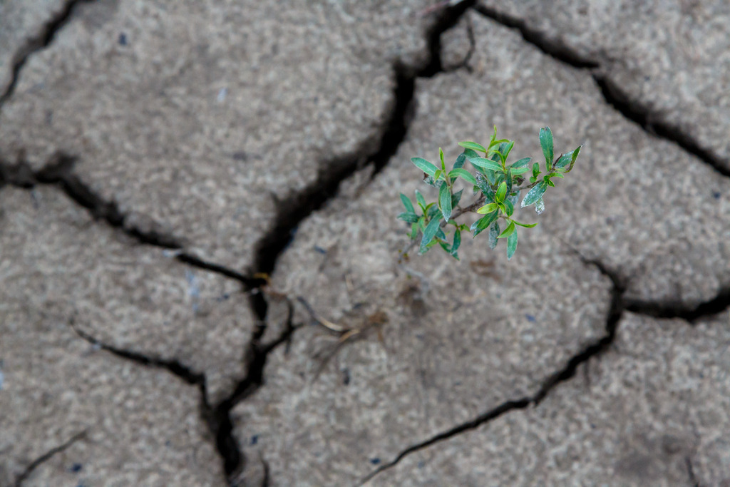 NQ8A3226 | ap-design // andreas plenk - Realisiert mit Pictrs.com