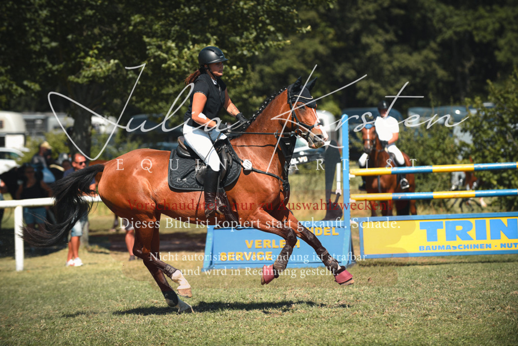 DSC_7096 | Pferde- und Turnierfotografie in Westsachsen. Pferdeportraits, Auftragszeichnungen und intuitive Kunst.