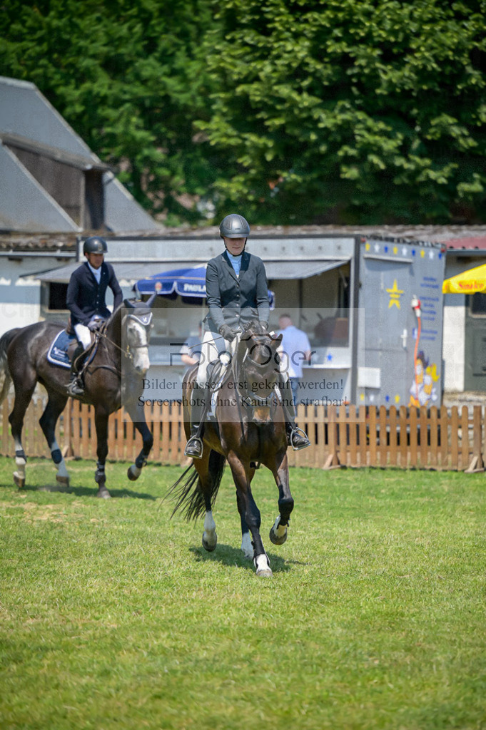 Reitturnier Voxtrup | Entdecke hochwertige Reitturnierfotos von Foto Oger. Professionell, emotional und authentisch – jetzt Lieblingsmomente im Shop bestellen.Deutschlandweite Turnierfotografie. - Realisiert mit Pictrs.com
