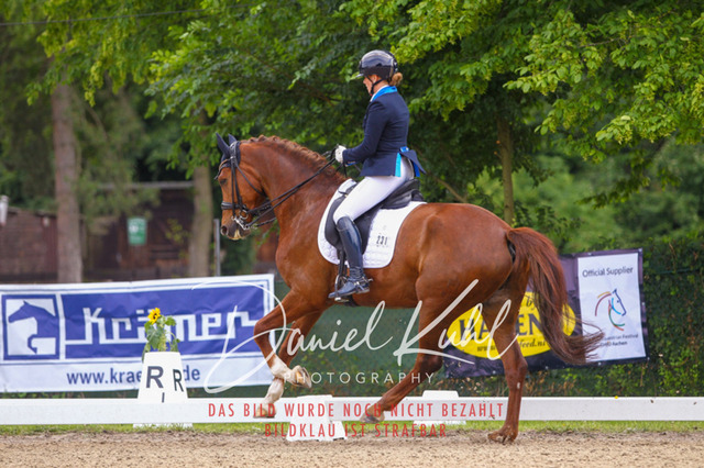 DKP40801 | Turniersportfotografie; Pferdefotografie; Dressurfotografie