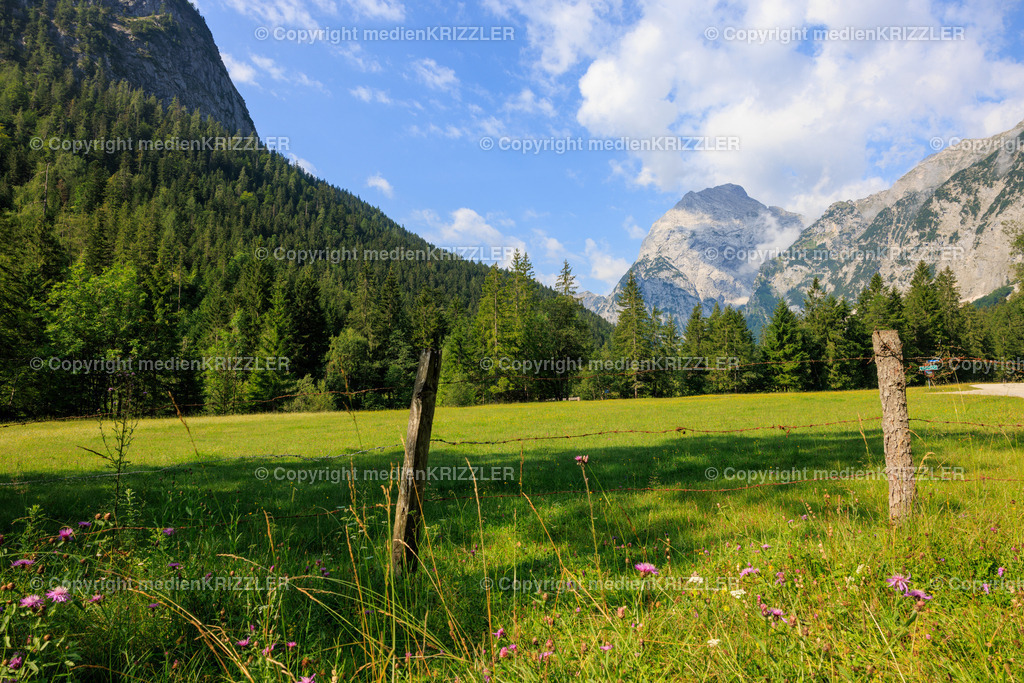 _J3A8145 | medienkrizzler - Realisiert mit Pictrs.com