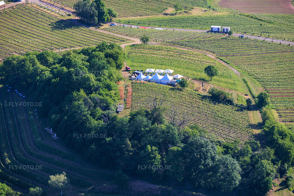Luftbild: Weinfrühling Pfingsten im Weinberg. Große Weinpräsentation inmitten der Weinlage „Kastanienbusch“ (Schönstes Weinfest der Pfalz 2012) in Birkweiler im Bundesland Rheinland-Pfalz in Deutschland.Foto: IMG_156701.jpg vom 23.05.2026 durch Werner Riehm/FLY-FOTO.deAuflösung des Originals: 6000 x 4000 pxWWW.BIRKWEILER.DE
