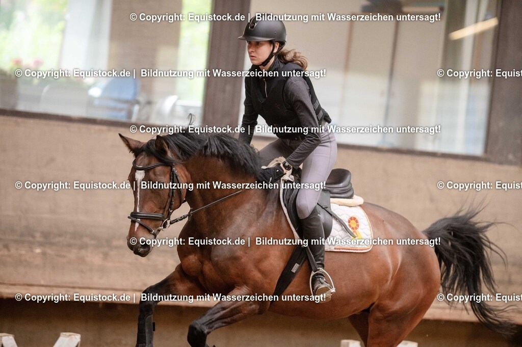 20250725_Vielseitigkeitslehrgang-Marbach_0637 | Foto: Thomas Hartig