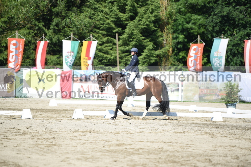 DSC_7828 | equestrian-live-com
