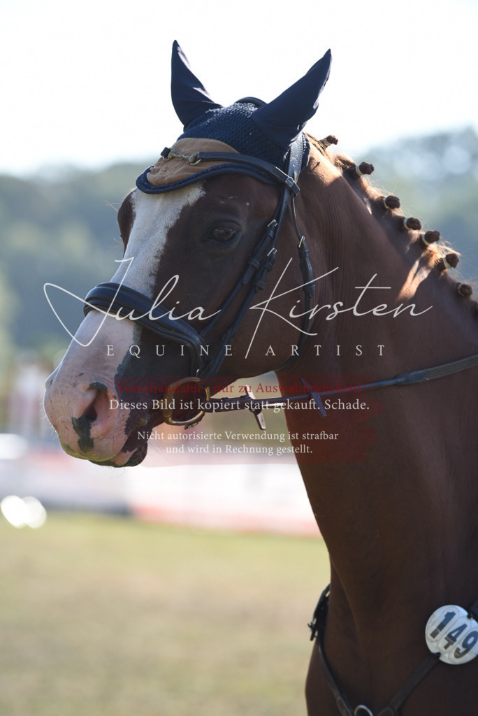 DSC_5479 | Pferde- und Turnierfotografie in Westsachsen. Pferdeportraits, Auftragszeichnungen und intuitive Kunst.