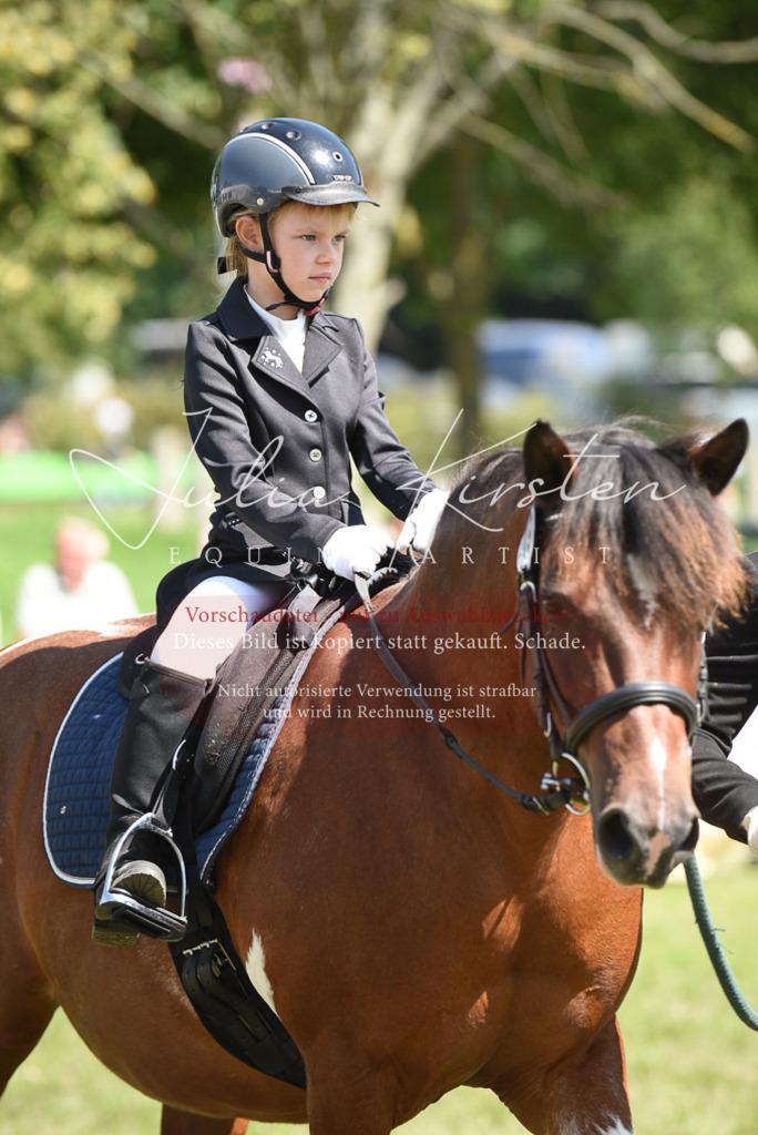 DSC_9757 | Pferde- und Turnierfotografie in Westsachsen. Pferdeportraits, Auftragszeichnungen und intuitive Kunst.