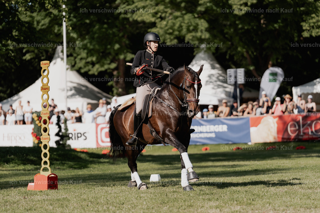 WE_MOS_Stoib_330_PI2025_2377 | Pferd International München 2025