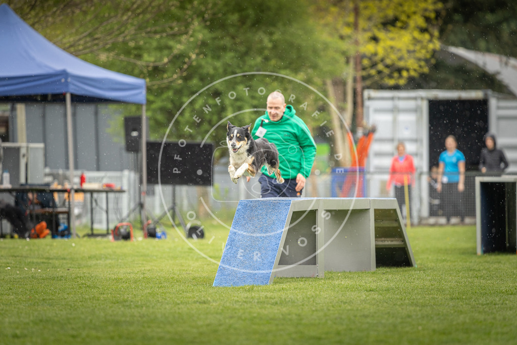 Pfotenfotografie_DV3A3542 | Hundefotografie, Tierfotograf, Pfotenfotografie, Fotoshooting Hund, Hunde Portrait, Hundesport, Hundeportraits, Heideshooting, Hunde, Sportfotograf, Hundefotograf, Turnierhundsport, THS,  - Realisiert mit Pictrs.com