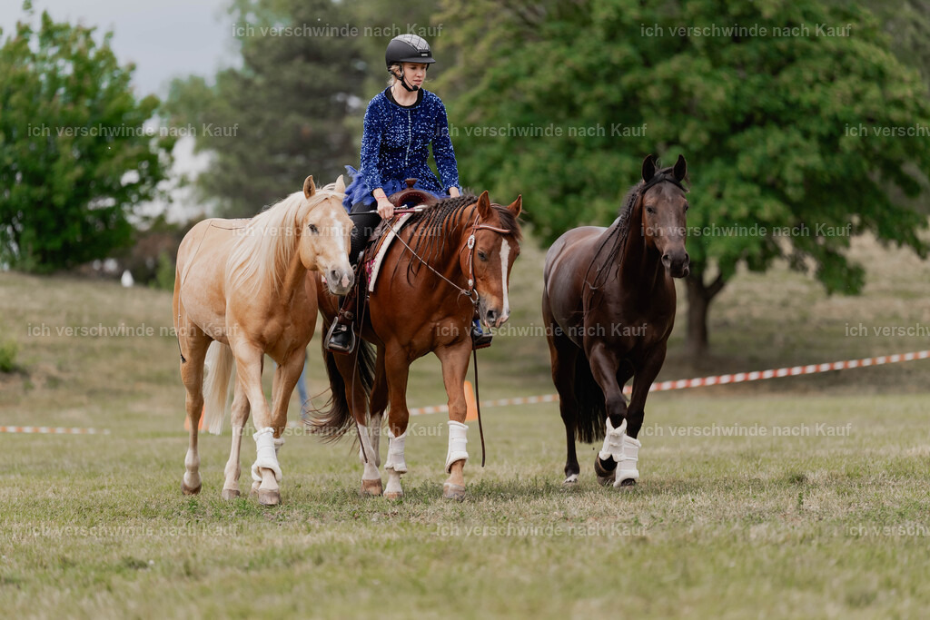 Showprogramm-452 | working equitationturnier fotograf videograf stoibphotography marixx film working equitation deutschland reitsport turnierfotografie eventfotografie equestrian events