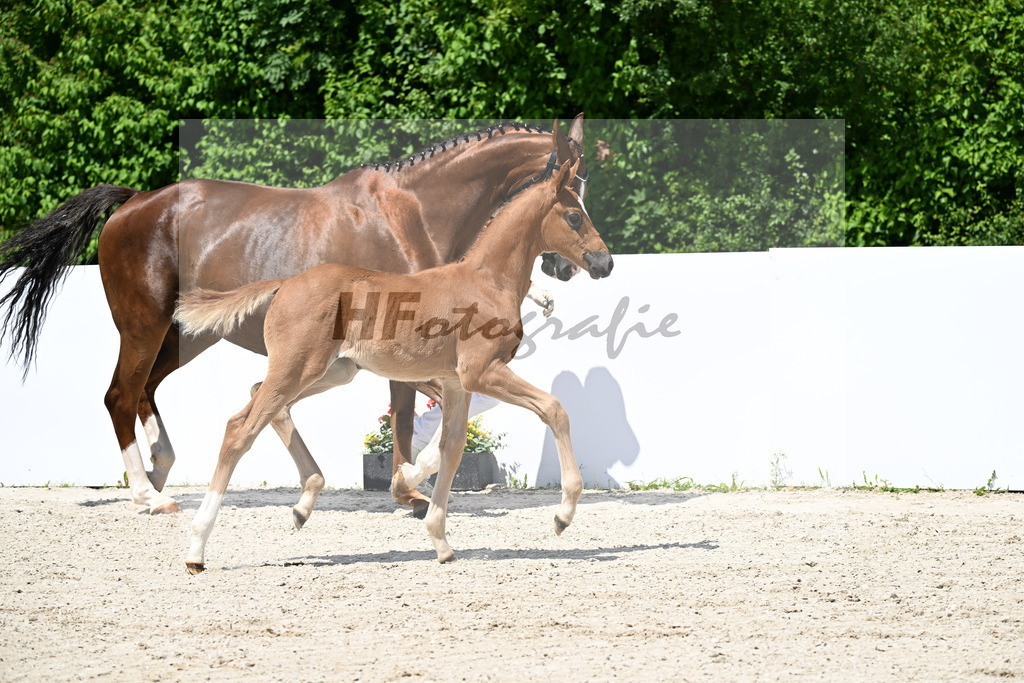 Bonfilio x Zalando_SF_Rief_13251280 | hf-fotografie - Realizzato con Pictrs.com