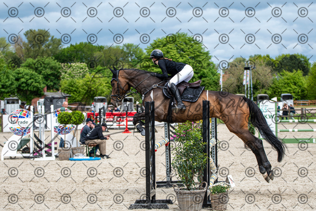 KPT_5508 | andre_photographic