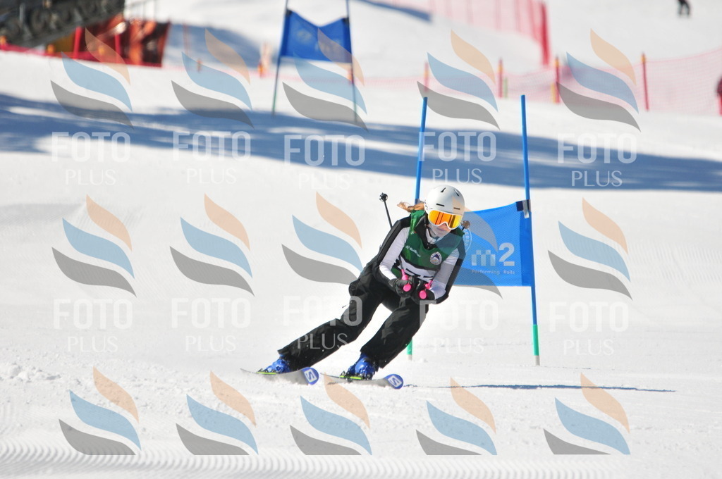 C4259 | holidayphoto