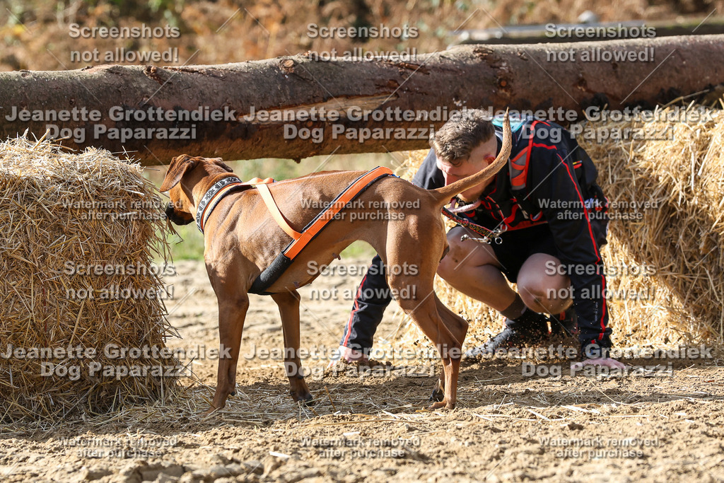 Dog Paparazzi - Strongdog 10-25-5331 | Dog Paparazzi Jeanette Grottendiek Fotografie & Videografie - Realisiert mit Pictrs.com