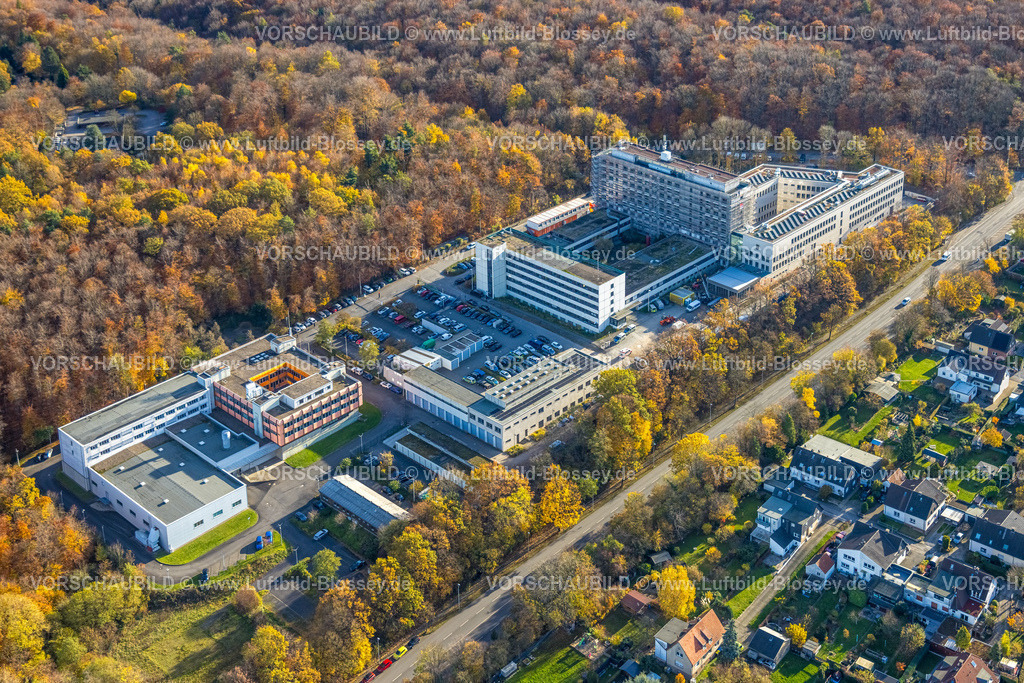 Hagen251103520 | Luftbild, Information und Technik NRW, Kreispolizeibehörde Hagen, Niederlassung Hagen, herbstliche Bäume, Altenhagen, Hagen, Ruhrgebiet, Nordrhein-Westfalen, Deutschland
