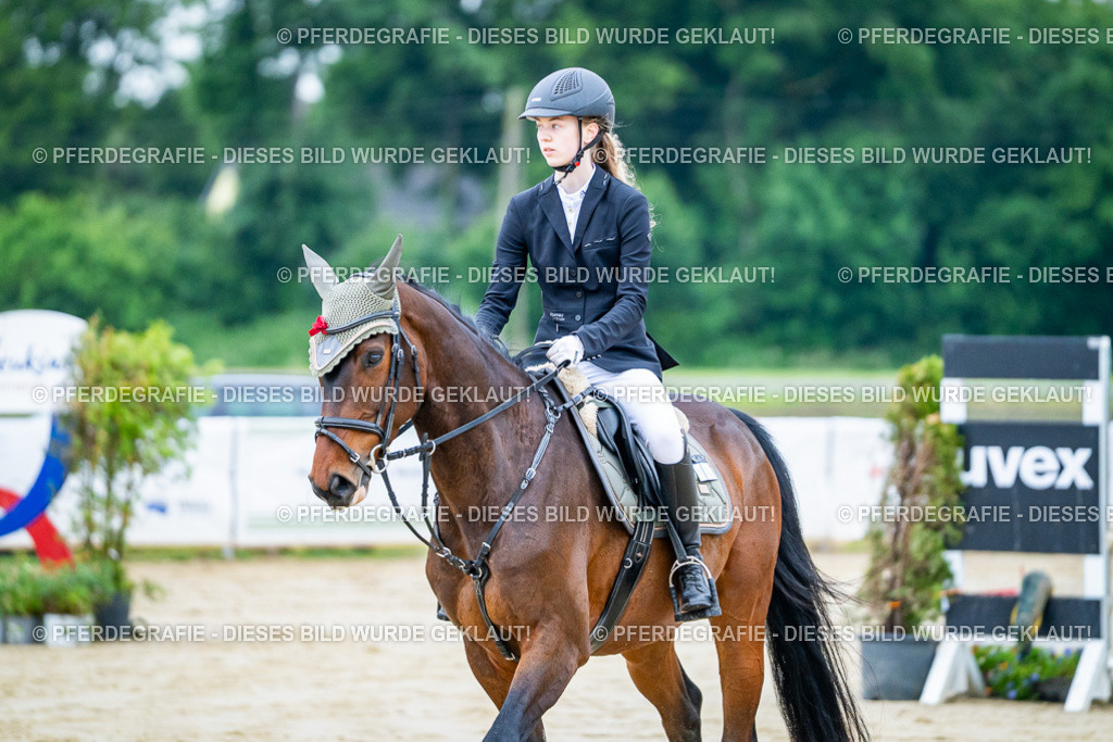 DSC00998 | Pferdegrafie