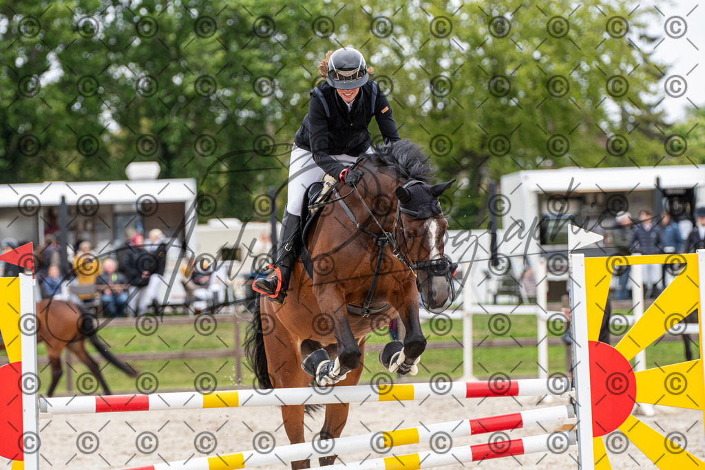 KPT_8653 | andre_photographic