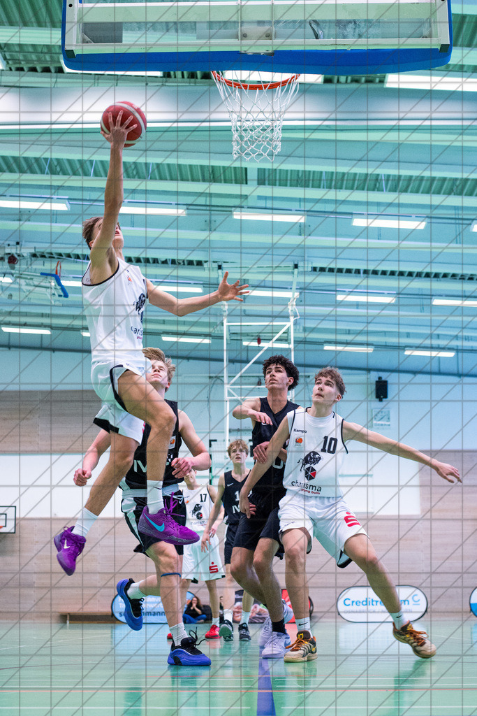 JBBL 24/25 | 12.01.2025 | Charisma Young Bulls vs. Northwestern Basketball Academy | JBBL 24/25 | 12.01.2025 | Charisma Young Bulls vs. Northwestern Basketball Academy - - - - - CREDIT, www.bullenfotos.de, Martin König, Hörner Weg 40, D-49078 Osnabrück, +4917663732967, Nutzung und Weitergabe nur zu den vereinbarten Zwecken. Presseanfragen an Urheber. Alle Rechte beim Urheber. - - - - - - Realisiert mit Pictrs.com