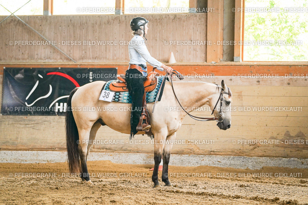 DSC05353 | Pferdegrafie