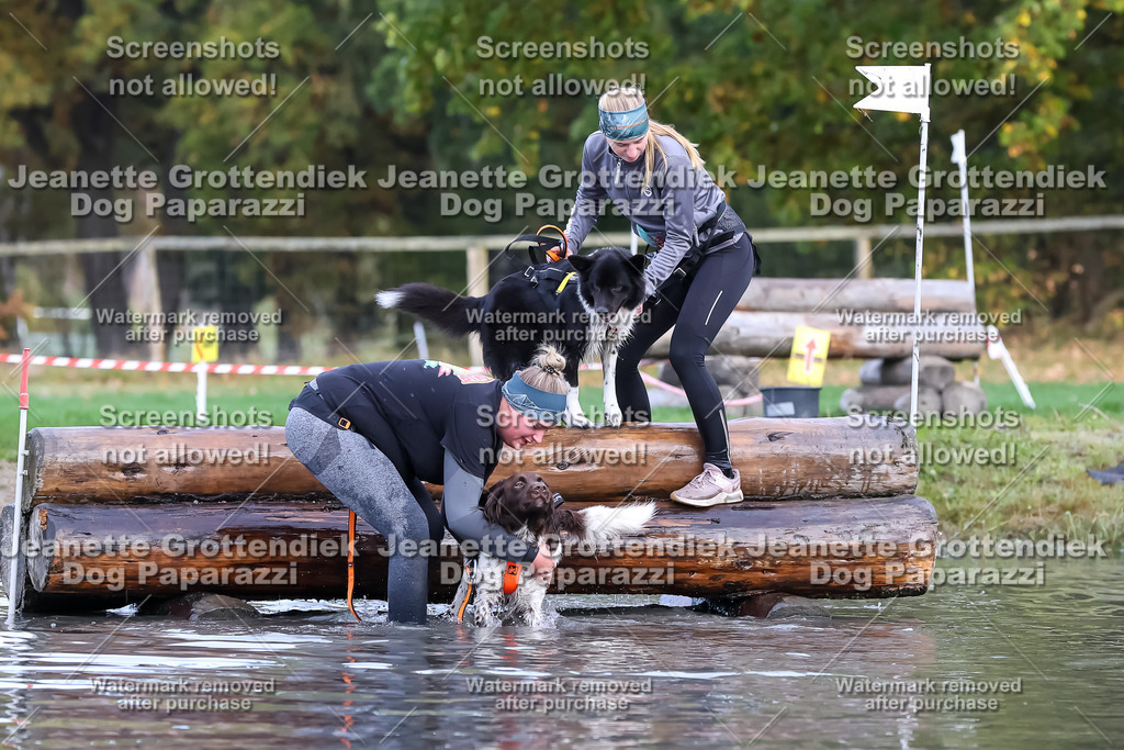 Dog Paparazzi - Strongdog 10-25-6705 | Dog Paparazzi Jeanette Grottendiek Fotografie & Videografie - Realisiert mit Pictrs.com