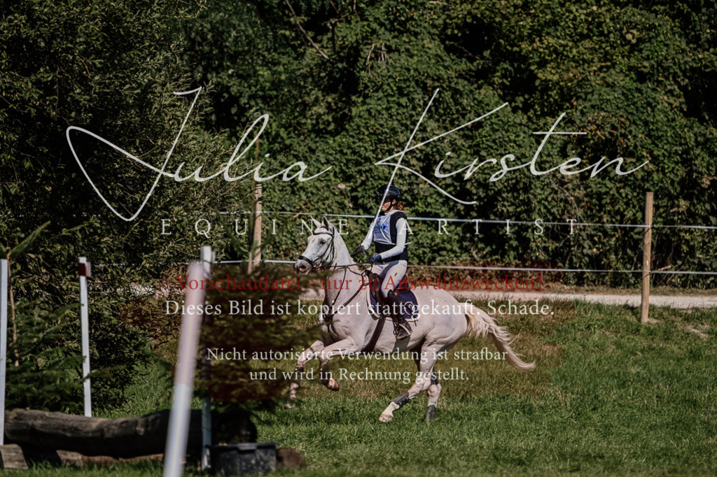 DSC_2033 | Pferde- und Turnierfotografie in Westsachsen. Pferdeportraits, Auftragszeichnungen und intuitive Kunst.
