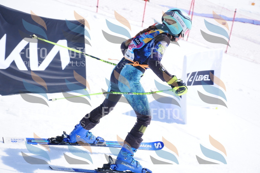 DSC_5253 | holidayphoto