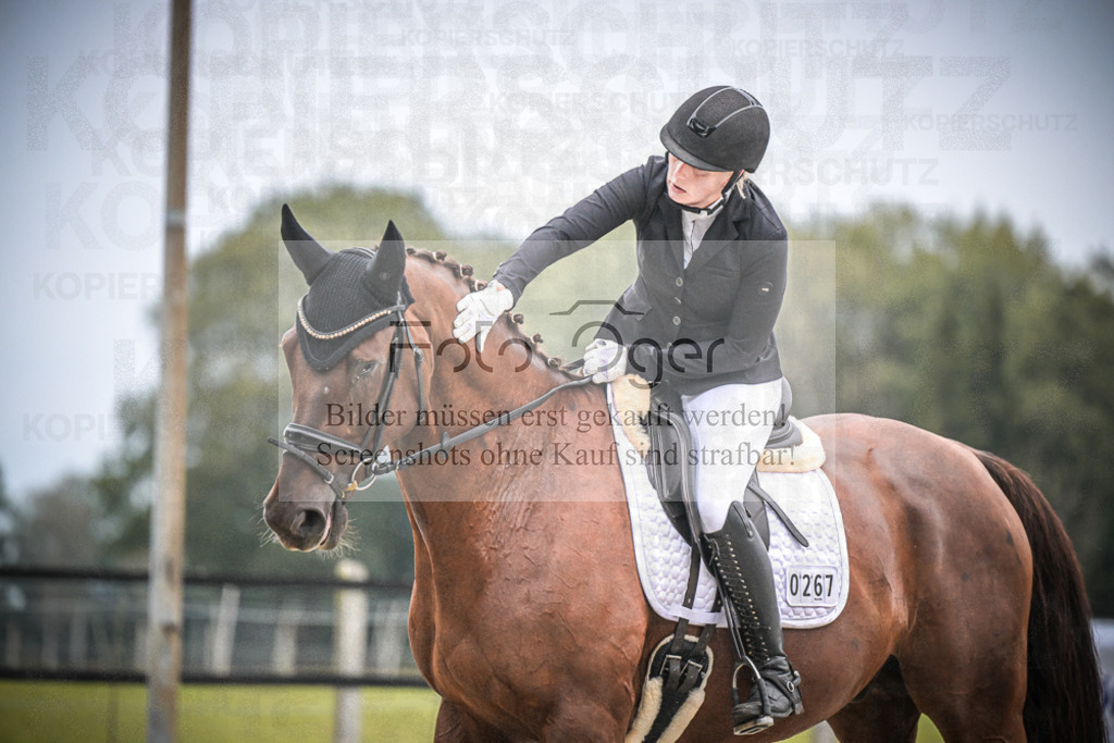 DOS_0246 | Entdecke hochwertige Reitturnierfotos von Foto Oger. Professionell, emotional und authentisch – jetzt Lieblingsmomente im Shop bestellen.Deutschlandweite Turnierfotografie. - Realisiert mit Pictrs.com