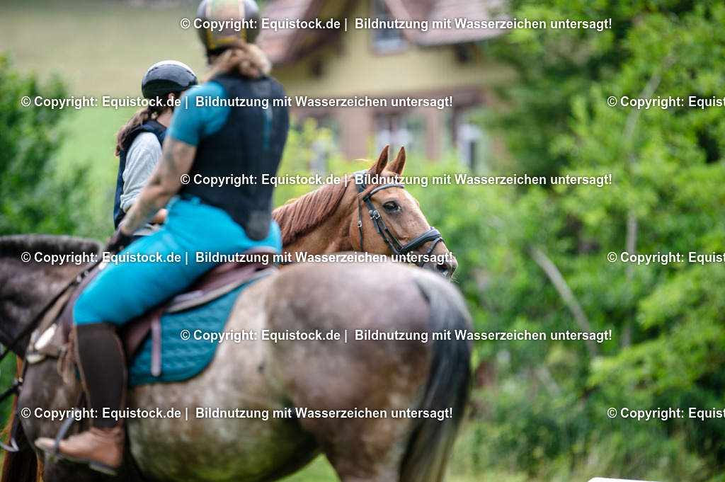20250725_Vielseitigkeitslehrgang-Marbach_0325 | Foto: Thomas Hartig