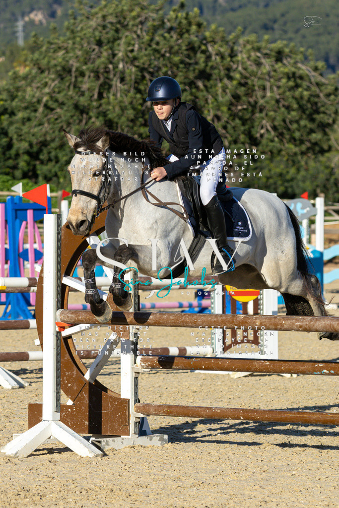 IMG_2241 | s-jay-photography - Realisiert mit Pictrs.com