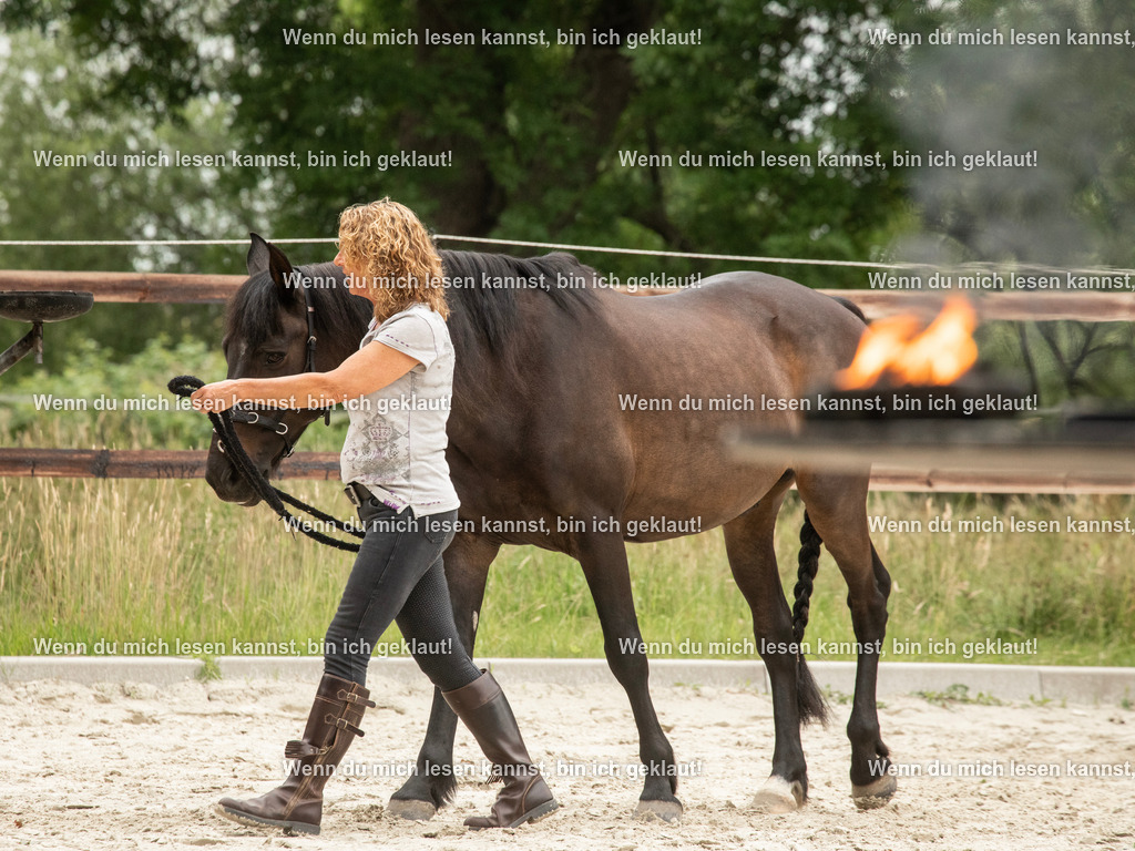 598A6330 | photographylinaismer - Realisiert mit Pictrs.com