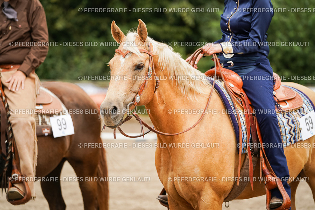 DSC08883 | Pferdegrafie