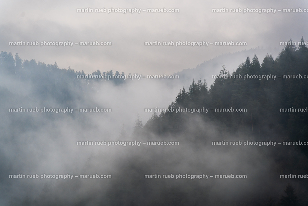 Misty Black Forest | Clouds in the Black Forest fading trees and hills - Realisiert mit Pictrs.com