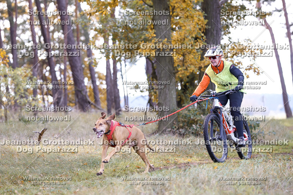 Dog Paparazzi - Elsholz 25 -99 | Dog Paparazzi Jeanette Grottendiek Fotografie & Videografie