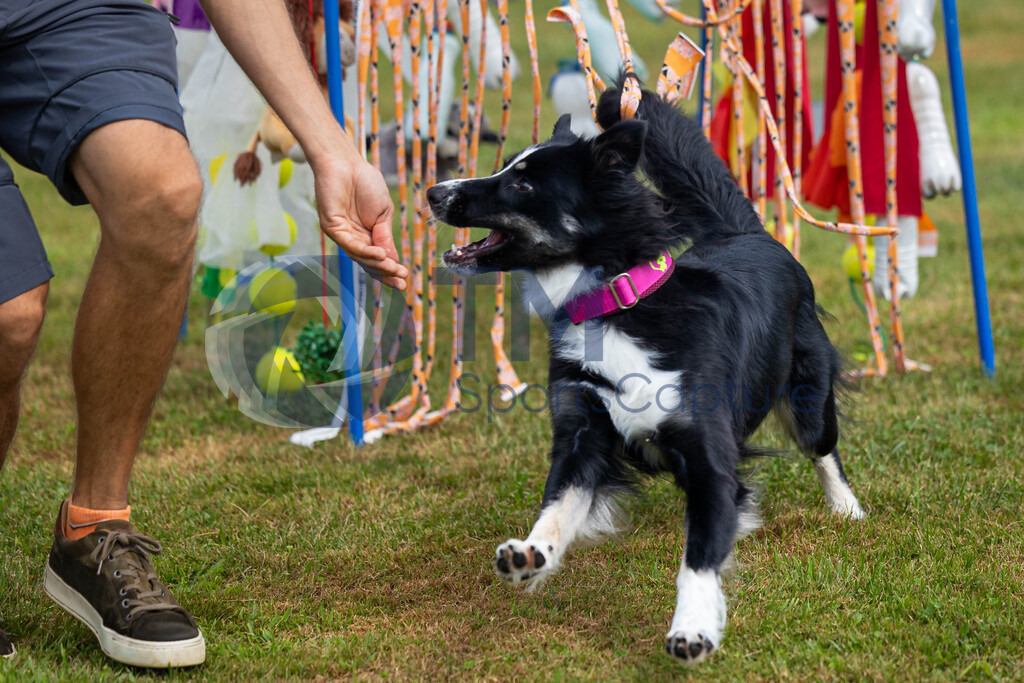 TP-20240815-0101 | Copyright: Trainproduction / Matthias Trinkl