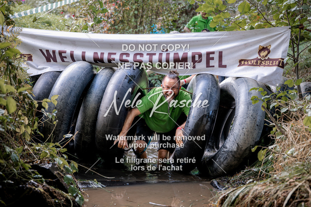nelerasche_Hunsrück2026_Sa1400-1500_66 | nelerasche