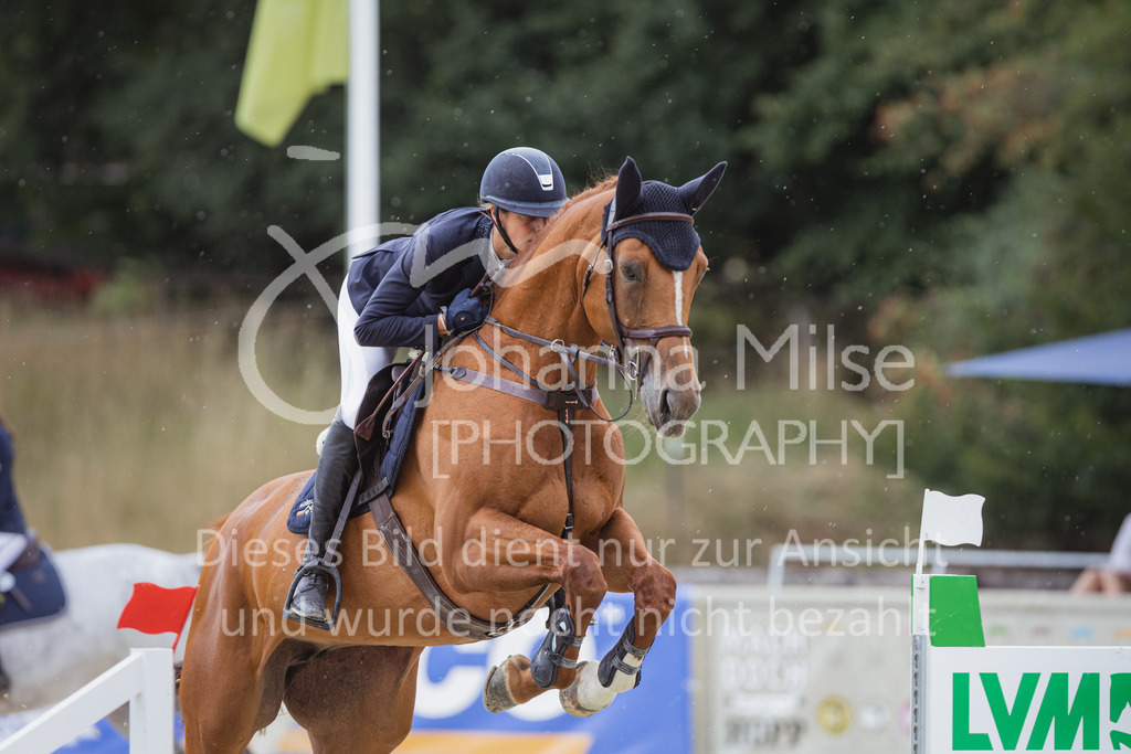 220729_BHO_GT_M2-Spr_1-200 | Deine schönsten Turniermomente als professionelle Fotos! Entdecke hochwertige Pferdesport-Fotografie im Online-Shop. Jetzt Fotos finden & bestellen!